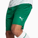 Shorts Palmeiras 2025 II – Torcedor